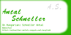 antal schneller business card